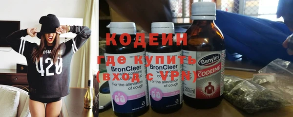 шишки Ладушкин