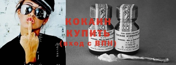 шишки Ладушкин