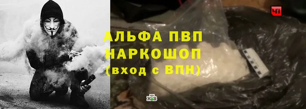 шишки Ладушкин
