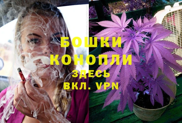 шишки Ладушкин