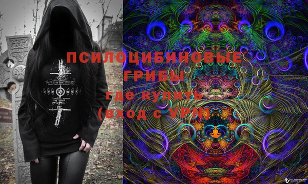 эйфоретик Лабытнанги