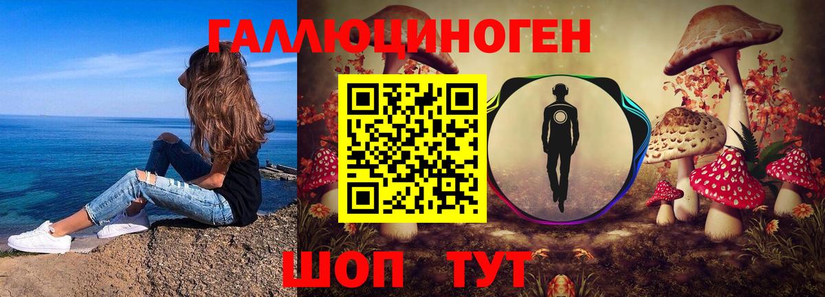 Галлюциногенные грибы Cubensis Рославль